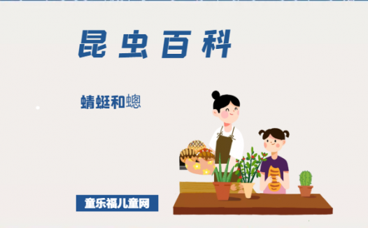 「昆虫百科」蜻蜓和蟌