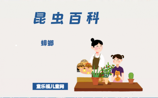 「昆虫百科」蟑螂