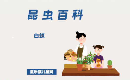 「昆虫百科」白蚁