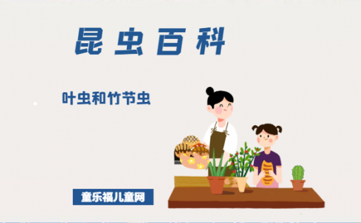 「昆虫百科」叶虫和竹节虫