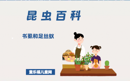 「昆虫百科」书虱和足丝蚁