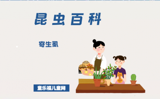 「昆虫百科」寄生虱