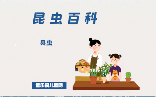 「昆虫百科」臭虫