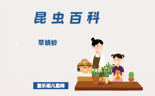 「昆虫百科」草蜻蛉