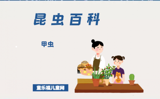 「昆虫百科」甲虫