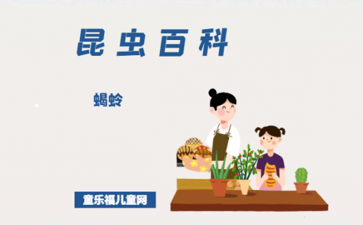 「昆虫百科」蝎蛉