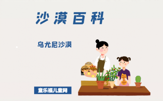 乌尤尼沙漠——天空之镜