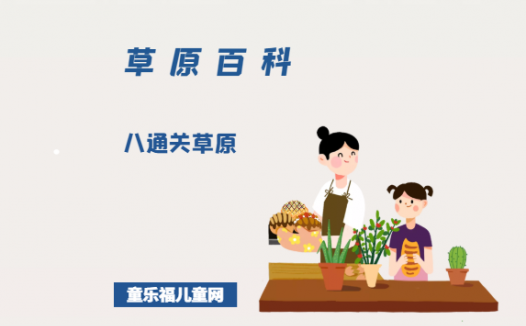 八通关草原——百岳名峰下的箭竹原