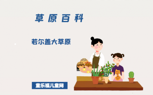 若尔盖大草原——川西北高原的绿宝石