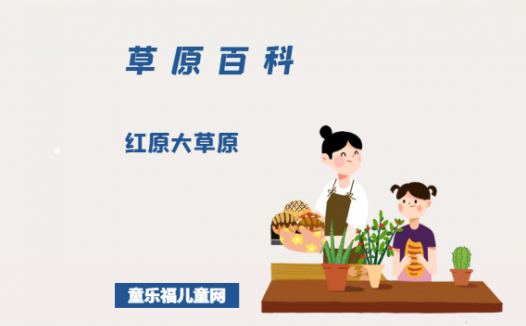 红原大草原——中国湿地保护区