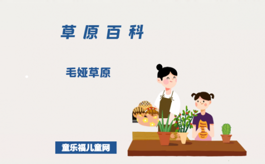 毛娅草原——难以形容的美