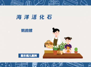 「海洋活化石」鹦鹉螺