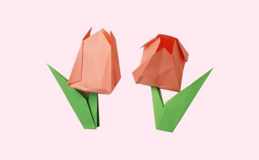 郁金香怎么折？郁金香的折法简单又漂亮（郁金香折纸附图解）