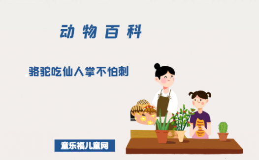 趣味动物问答:骆驼吃仙人掌不怕刺是真的吗?