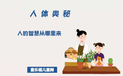 「人体奥秘百科」人的智慧从哪里来