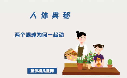「人体奥秘百科」两个眼球为何一起动