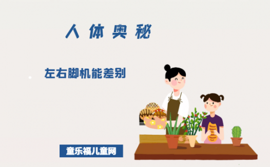 「人体奥秘百科」左右脚机能差别
