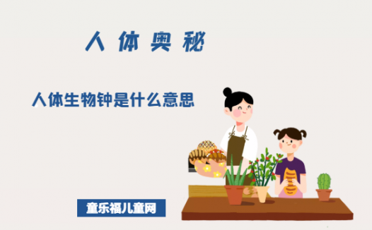 「人体奥秘百科」人体生物钟是什么意思