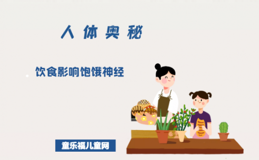 「人体奥秘百科」饮食影响饱饿神经