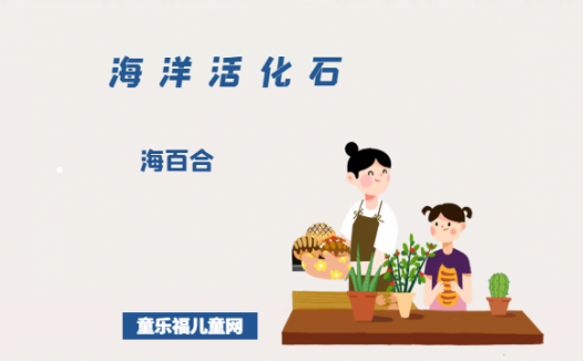 「海洋活化石」海百合