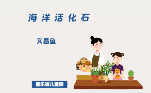 「海洋活化石」文昌鱼