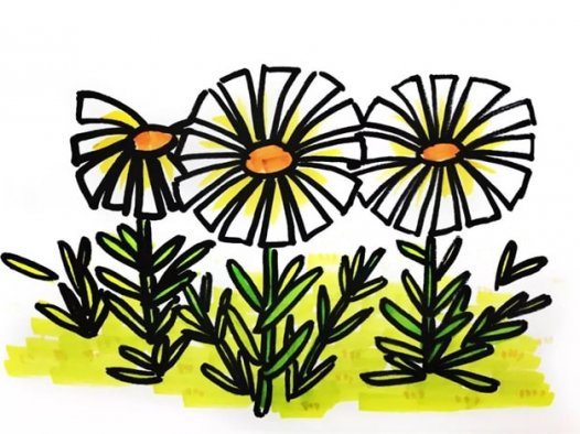 野菊花简笔画怎么画简单又漂亮?野菊花简笔画图片(附详细步骤、教程)