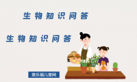 生物科普知识问答:什么是最小的多细胞生物?在单细胞生物演化成多细胞生物的过程中,是否有空档?