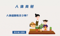 「人体奥秘百科」人体细胞有多少种?差异为什么那么大?为什么脂肪细胞容易变大变多,脑细胞却不会?