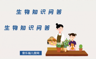 生物科普知识问答:什么是最小的多细胞生物?在单细胞生物演化成多细胞生物的过程中,是否有空档?