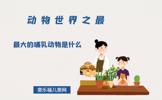 「动物世界之最」最大的哺乳动物是什么