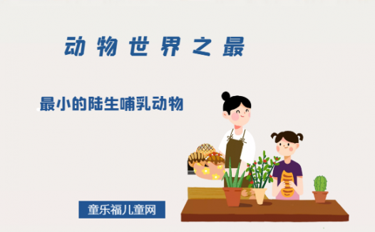 「动物世界之最」最小的陆生哺乳动物是什么