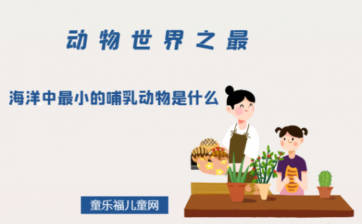 「动物世界之最」海洋中最小的哺乳动物是什么