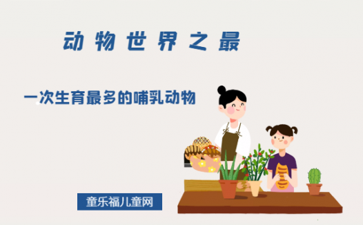 「动物世界之最」最长寿的哺乳动物是什么