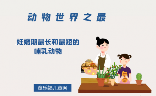 「动物世界之最」妊娠期最长和最短的哺乳动物是什么