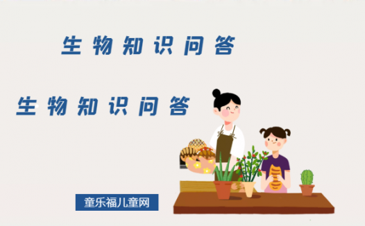 生物科普知识问答:什么是最小的多细胞生物?在单细胞生物演化成多细胞生物的过程中,是否有空档?