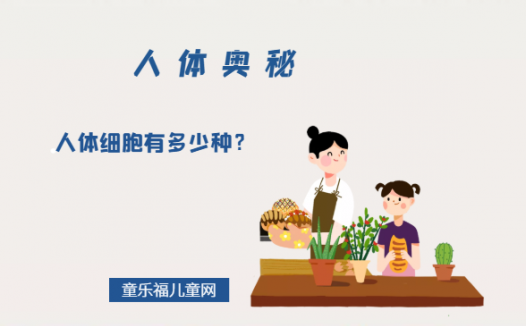 「人体奥秘百科」人体细胞有多少种？差异为什么那么大？为什么脂肪细胞容易变大变多，脑细胞却不会？