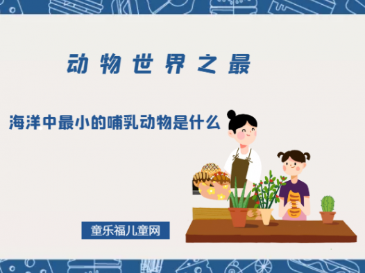 「动物世界之最」海洋中最小的哺乳动物是什么