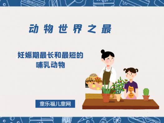 「动物世界之最」妊娠期最长和最短的哺乳动物是什么
