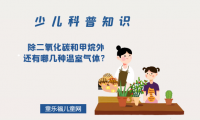 除二氧化碳和甲烷外还有哪几种温室气体?(温室气体有哪些)