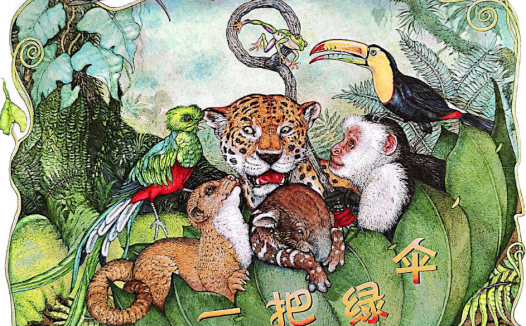 「儿童绘本故事精读」《一把绿伞》——一叶障目的反转