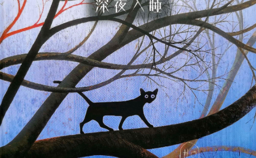 「儿童绘本故事精读」《深夜入睡》——一个奇妙的历险