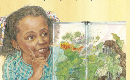 「儿童绘本故事导读」《爷爷眼花了》——充满仪式感的寻找游戏