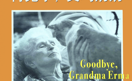 「儿童绘本故事精读」《再见了,艾玛奶奶》——最后的礼物