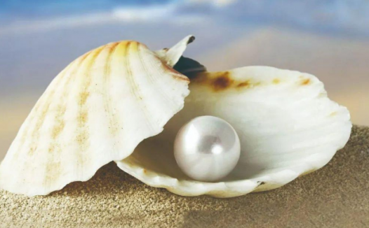 「动物百科」为什么蛤、蚌里会长出珍珠？（珍珠怎么形成的）