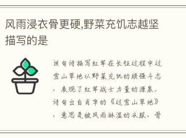 风雨浸衣骨更硬,野菜充饥志越坚描写的是