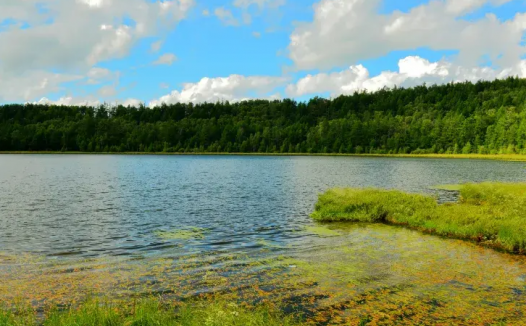 精选李益七言绝句诗12首