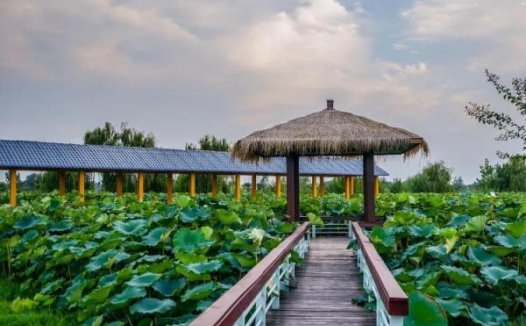 精选范成大七言绝句诗21首