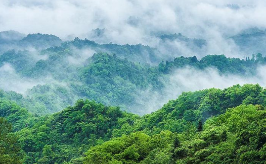 精选陆游七言绝句诗19首