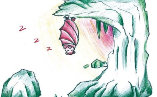 「动物百科」为什么蝙蝠都倒挂着睡觉？